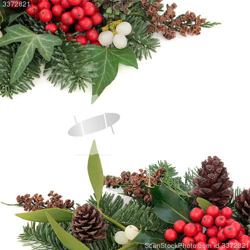 Image of Holly Ivy and Mistletoe Border