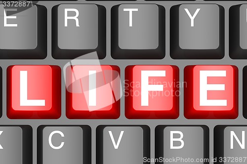 Image of  Life button on modern computer keyboard