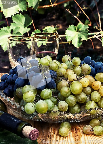 Image of ripe grapes 