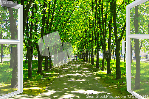 Image of window opened to beautiful park with green trees