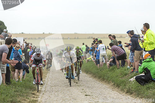 Image of The Peloton on a Cobblestoned Road - Tour de France 2015