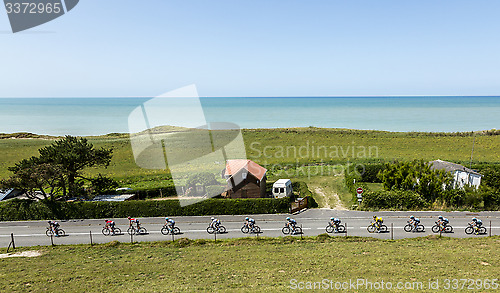 Image of The Peloton - Tour de France 2015