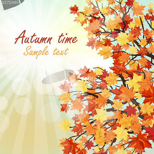 Image of Autumn 