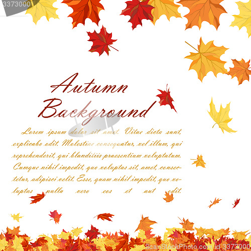 Image of Autumn 