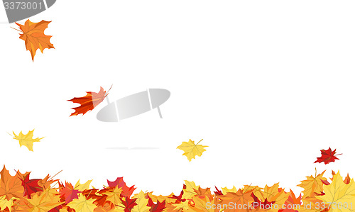 Image of Autumn 