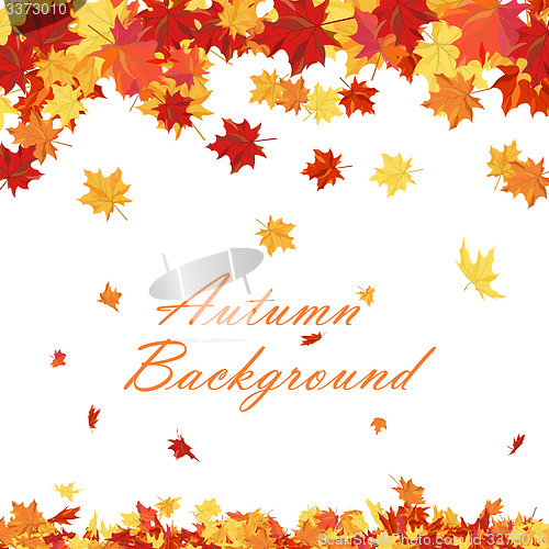 Image of Autumn 