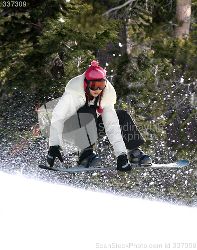 Image of Snowboarding in a forest