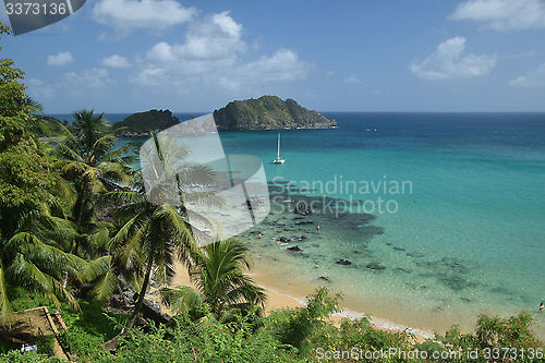 Image of Crystalline sea beach in Fernando de Noronha, Brazil