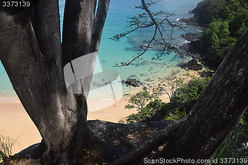 Image of Crystalline sea beach in Fernando de Noronha, Brazil