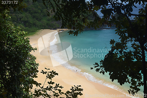 Image of Crystalline sea beach in Fernando de Noronha,Brazil