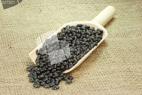 Image of Black Beans on a wooden Shovel