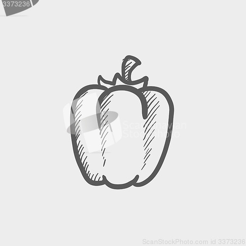 Image of Bell pepper sketch icon