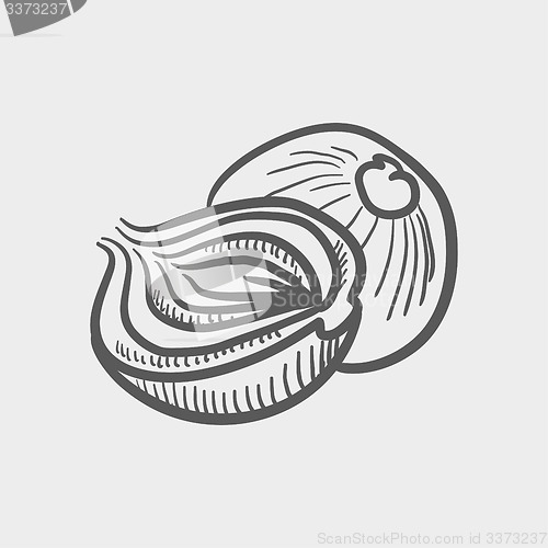 Image of Onion sketch icon