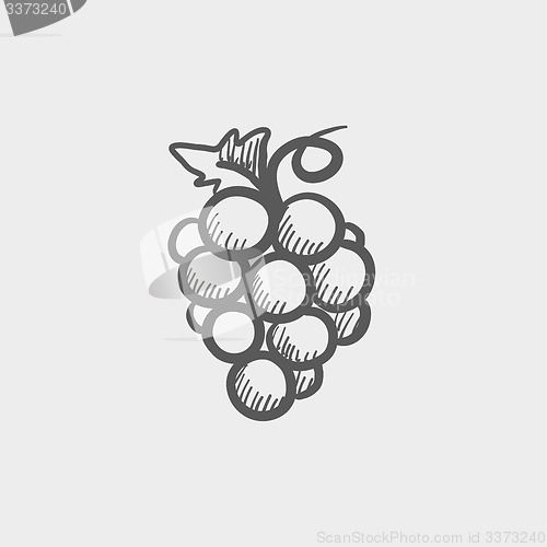 Image of Bunch of grapes sketch icon