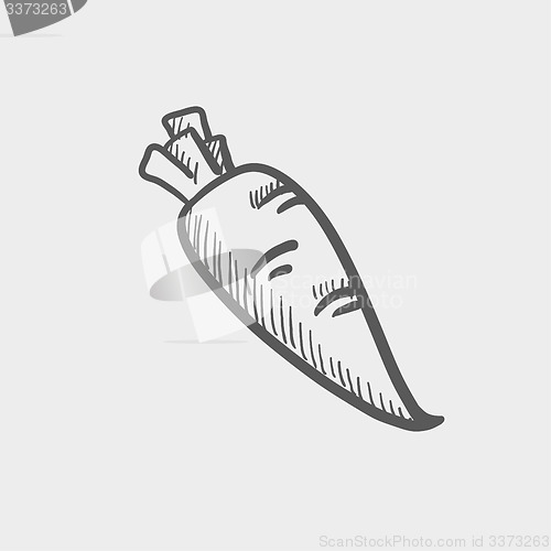 Image of Carrot sketch icon