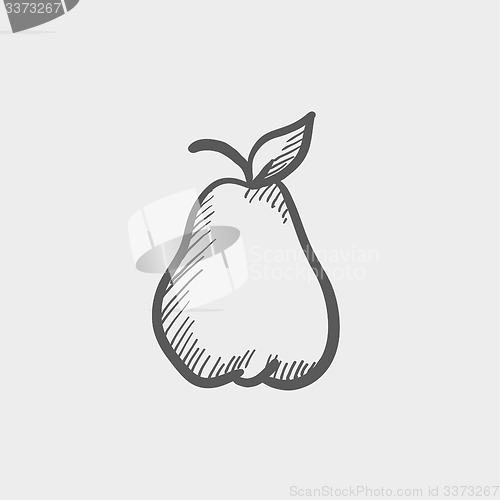 Image of Pear sketch icon