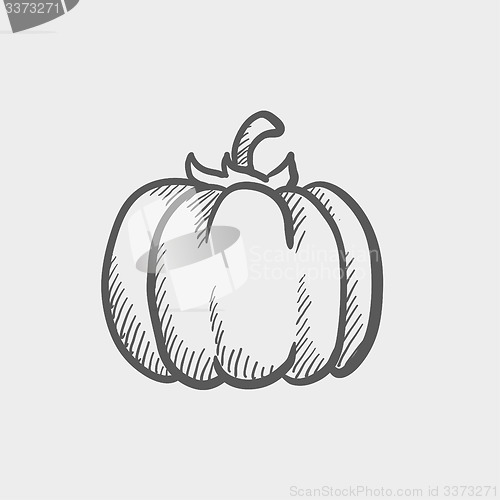 Image of Squash sketch icon