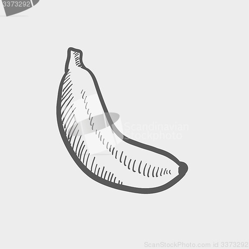 Image of Banana sketch icon