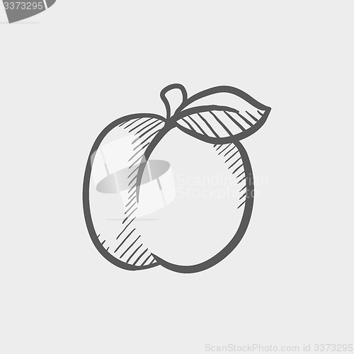 Image of Plum with leaf sketch icon