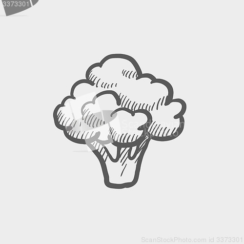 Image of Brocolli sketch icon