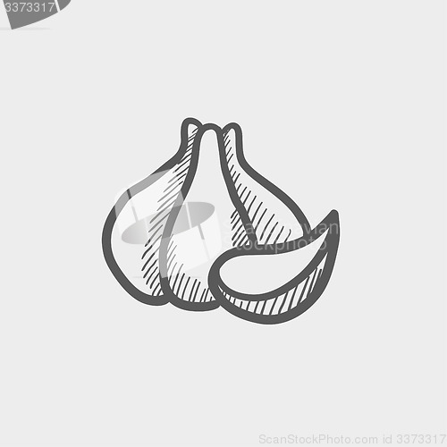Image of Garlic sketch icon