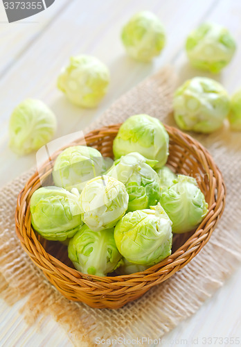 Image of brussel cabbage