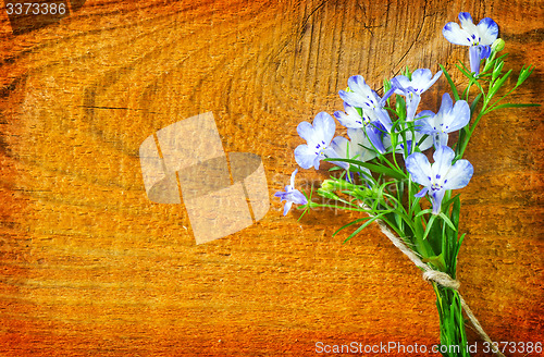 Image of flowers on wooden background