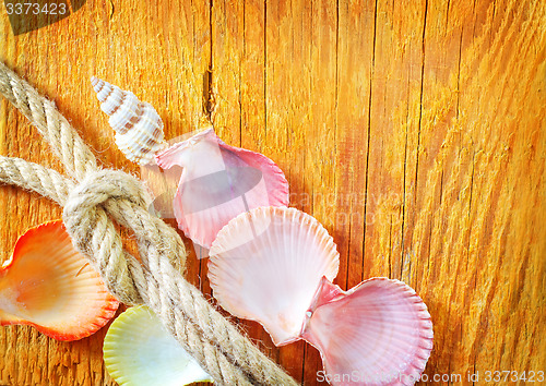 Image of shells on wooden background