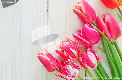 Image of Tulips