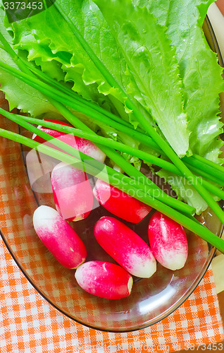 Image of radish and salad