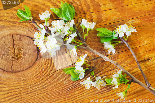 Image of flowers on wooden background