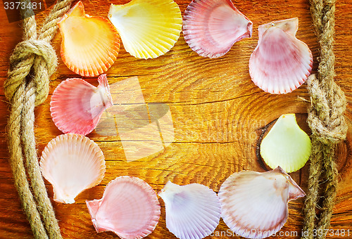 Image of shells on wooden background