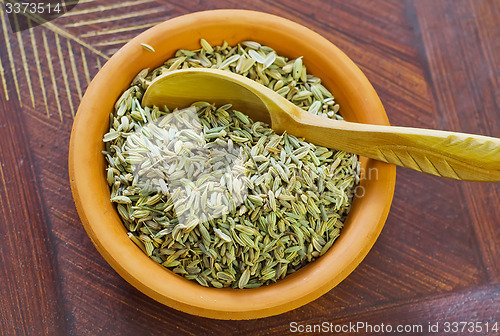 Image of fennel