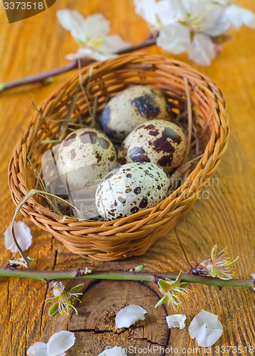 Image of quail eggs