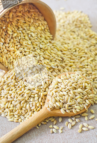 Image of wheat