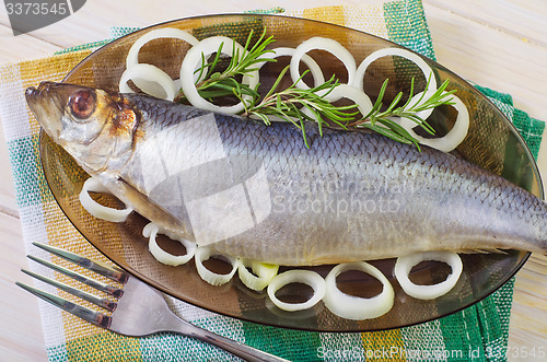 Image of herring