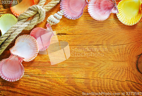 Image of shells on wooden background