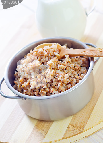Image of buckwheat