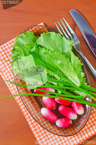 Image of radish and salad