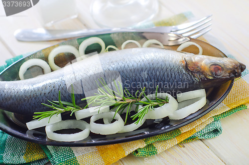 Image of herring