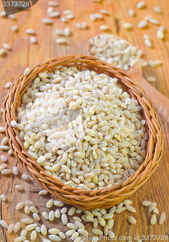 Image of pearl barley