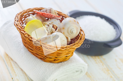 Image of shells and sea salt