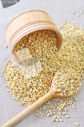 Image of wheat