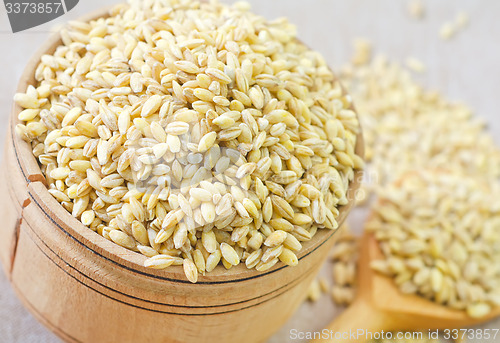 Image of wheat