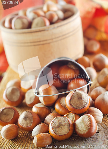 Image of hazelnuts