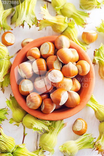 Image of hazelnuts