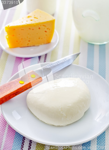 Image of fresh cheese on the white plate