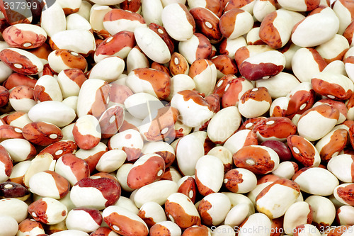 Image of Red and White Beans