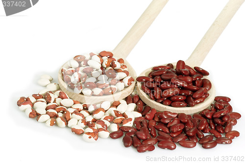 Image of Red and white Beans on a cooking spoon