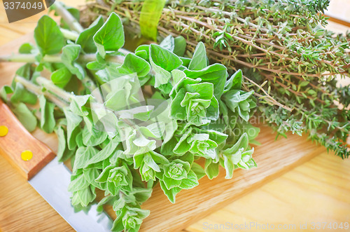 Image of oregano with thyme